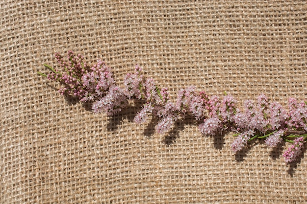 Kleurrijke lentebloemen op canvas