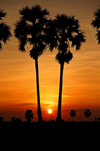 Kleurrijke lucht bij zonsondergang in tropisch land