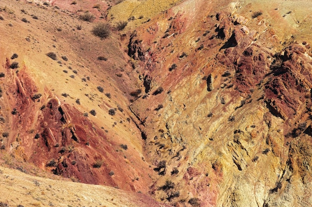 Kleurrijke Mars in het Altai-gebergte Martian-valleilandschap in de Republiek Altai Gekleurde heuvels natuur