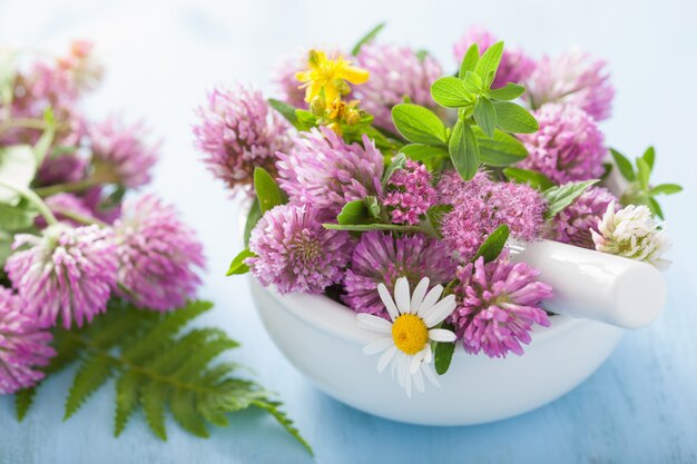 Kleurrijke medische bloemen en kruiden in mortel