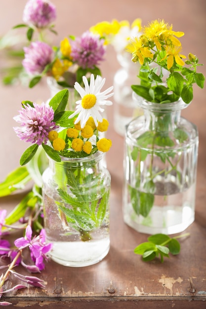 Kleurrijke medische bloemen en kruiden in potten