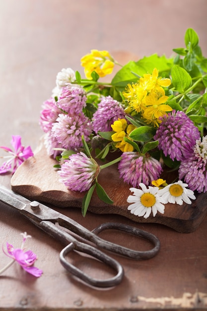 Kleurrijke medische bloemen en kruiden