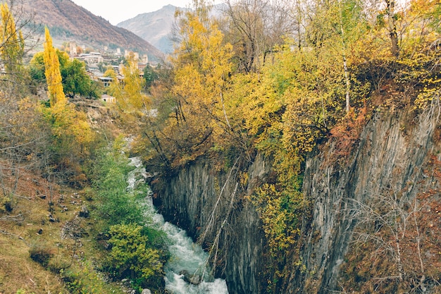 Kleurrijke natuur schilderachtige van bos en rivier paden in Europees land.