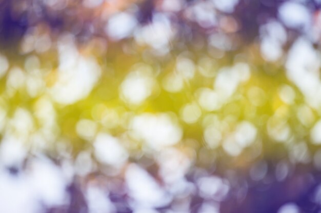 Foto kleurrijke natuurlijke bokeh achtergrond