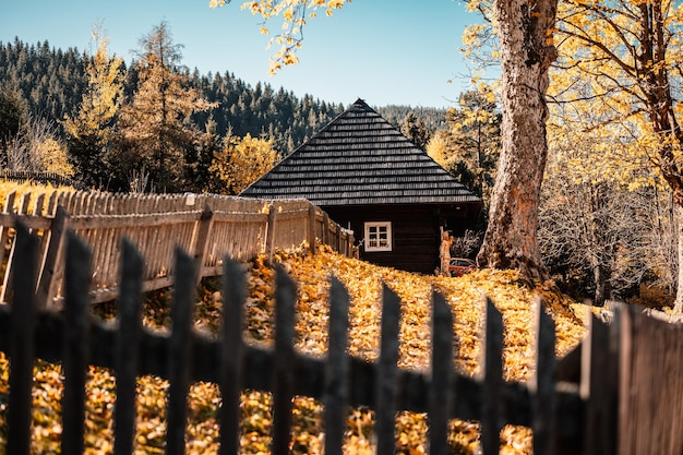 Kleurrijke oude houten huizen in Vlkolinec Unesco-erfgoed Bergdorp met een volksarchitectuur Magurka liptov slowakije