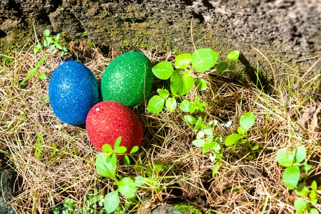 Kleurrijke paaseieren op het gras Vrolijk Pasen