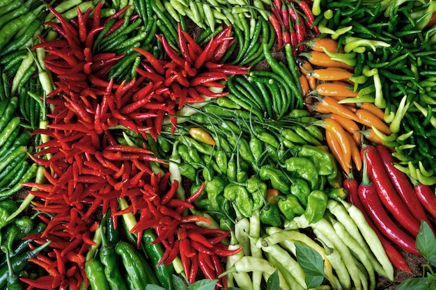 Kleurrijke paprika's