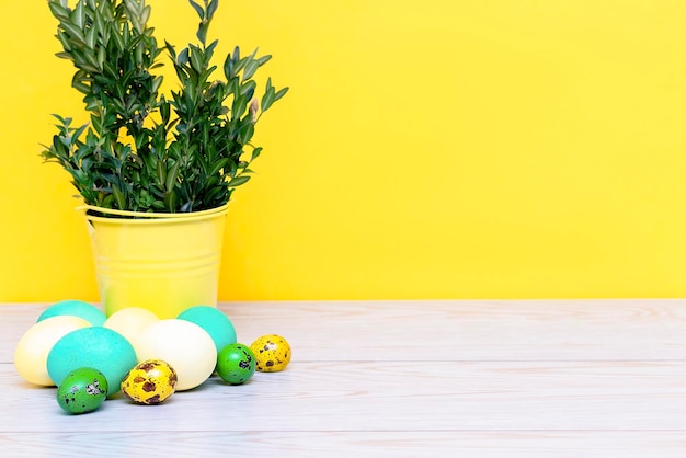 Kleurrijke pasen organische beschilderde eieren met groene plantentakken in decor gele emmer op gele achtergrond lente pasen concept