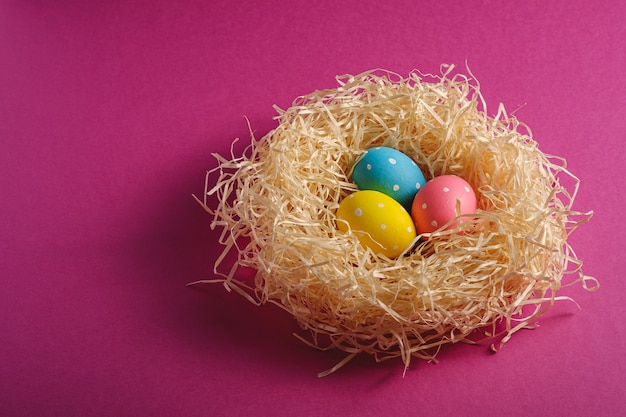 Kleurrijke polka dot paaseieren in houten nest op roze paarse effen achtergrond,