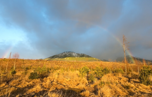 Kleurrijke regenboog op grijze bewolkte hemelachtergrond in berg.