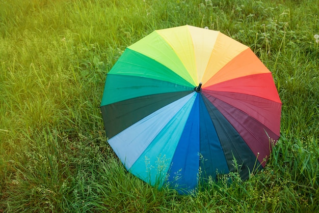 Kleurrijke regenboogparaplu op groen gras. Lente tijd.