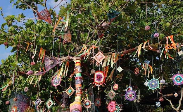 Kleurrijke slingers, wollen ballen, vliegers versierd op een boom tijdens de zomers