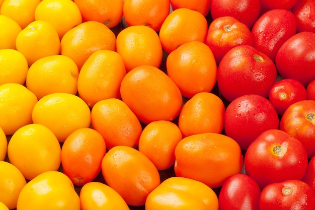 Kleurrijke tomaten Geeloranje en rood