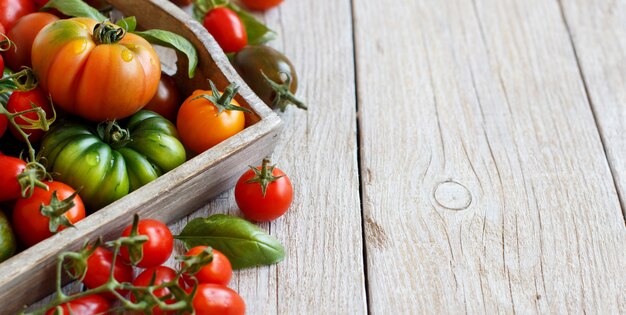 Kleurrijke tomaten op een houten tafelblad bekijken