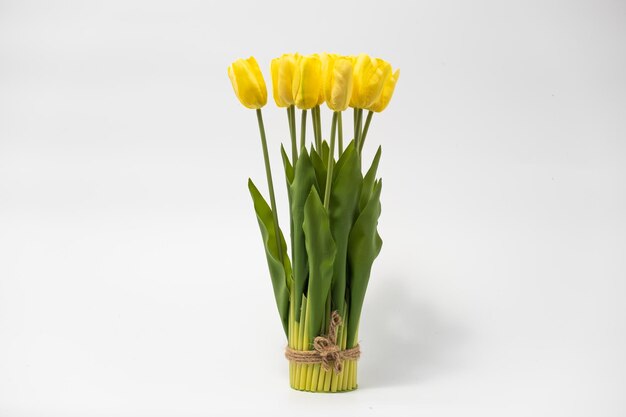 Kleurrijke tulpen in een veld op een witte achtergrond