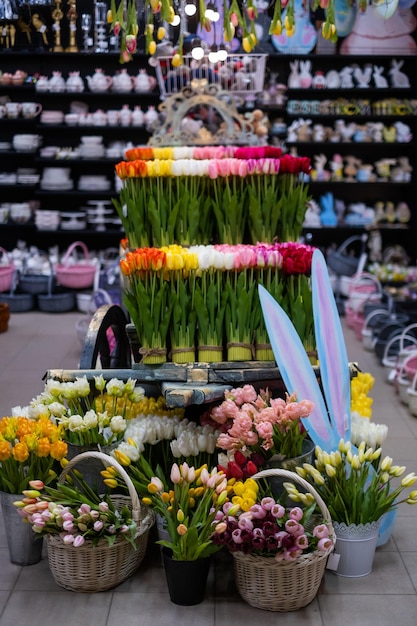 Kleurrijke tulpen in een veld op een witte achtergrond