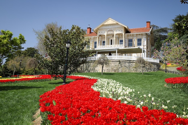 Kleurrijke Tulpen in Emirgan Park Istanbul Turkije
