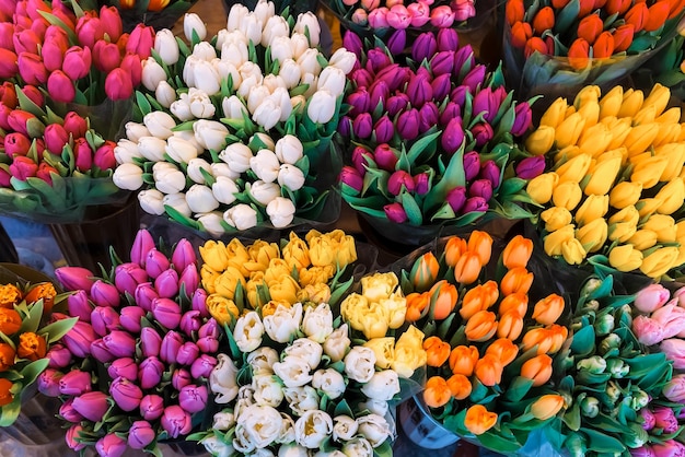 Kleurrijke tulpen op de markt