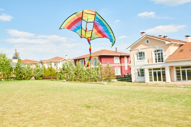 Kleurrijke vlieger in de lucht