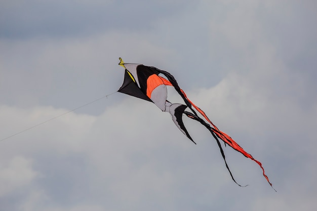 Kleurrijke vlieger in de lucht