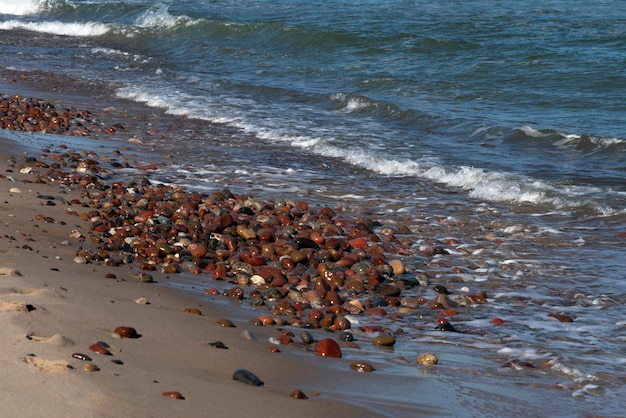 Kleurrijke zeekiezelstenen aan de oever van de Oostzee op de achtergrond van een inkomende golf Koerse landtong Kaliningrad regio Rusland