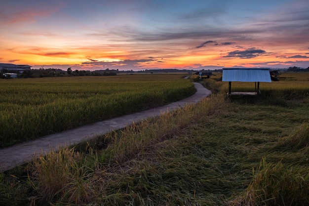 Kleurrijke zonsondergang en zonsopgang met wolken. oranje kleur van de natuur. veel witte wolken in de lucht. het weer is duidelijk vandaag. zonsondergang in de wolken. de lucht is schemering.