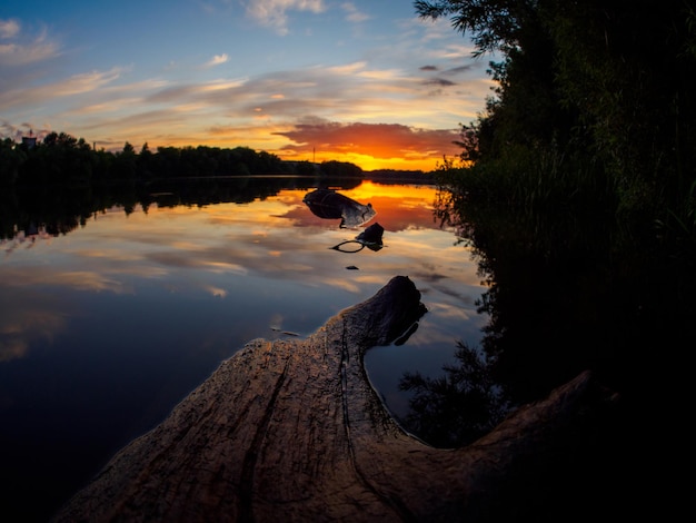 Foto kleurrijke zonsondergang op de boomstam van de rivier in het water selectieve focus