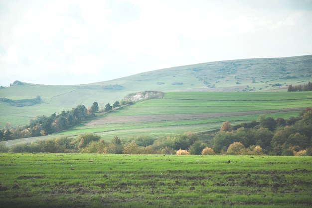 Kleurveld met berg