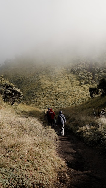 Klimmers lopen naar de top van de berg merbabu