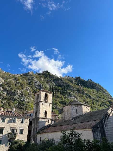 Klokkentoren van de kathedraal van st tryphon in kotor aan de voet van de bergen montenegro