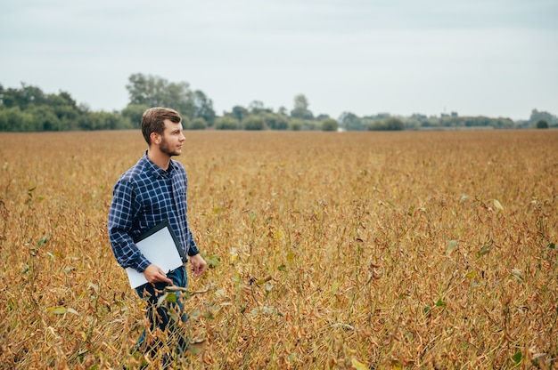 Knappe agronoom houdt touchpad tabletcomputer op het gebied van soja en onderzoekt gewassen voor het oogsten