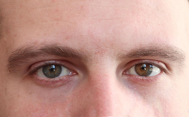 Knappe blik van een jonge man bruine ogen close-up