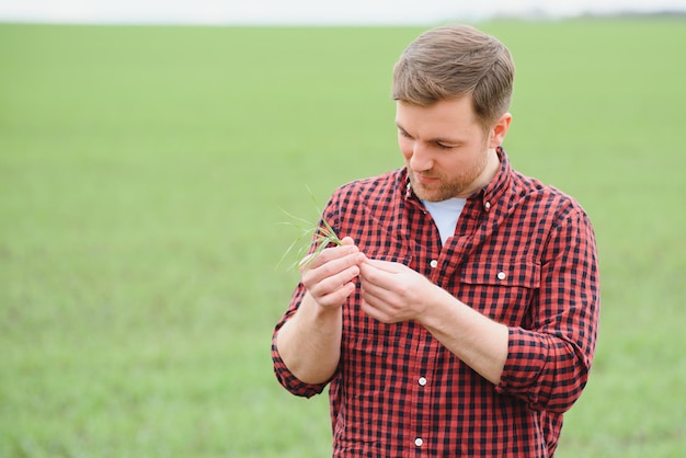 Knappe boer Jonge man wandelen in het groene veld Lente landbouw