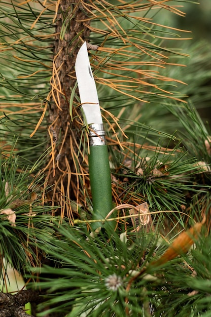 緑のトウヒの枝に緑のハンドルが付いたナイフ 垂直フレーム