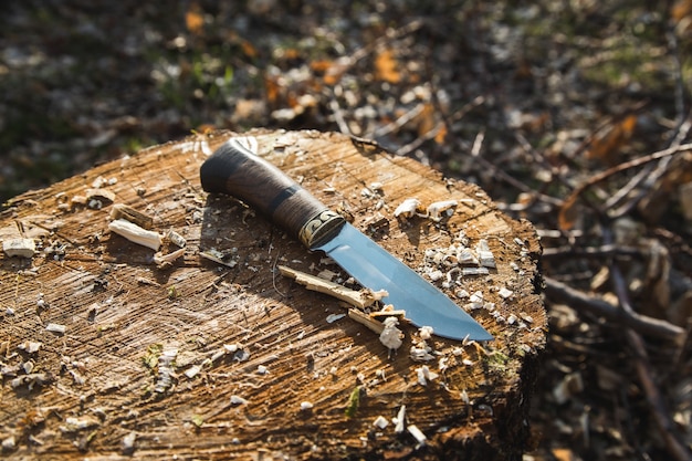 Knife on wood in the garden
