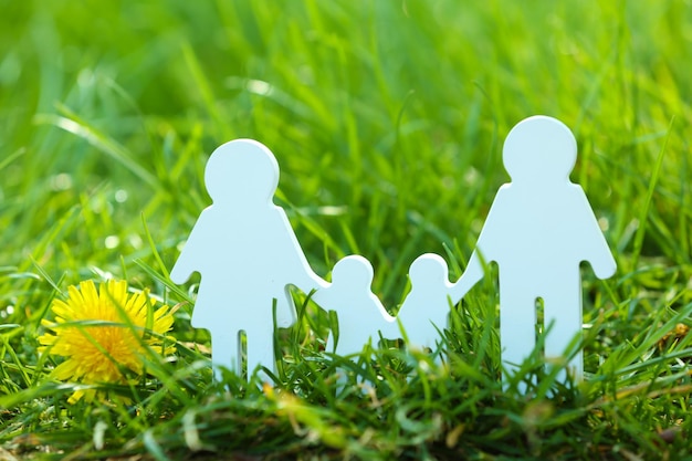 Foto knipselfamilie over groen grasachtergrond