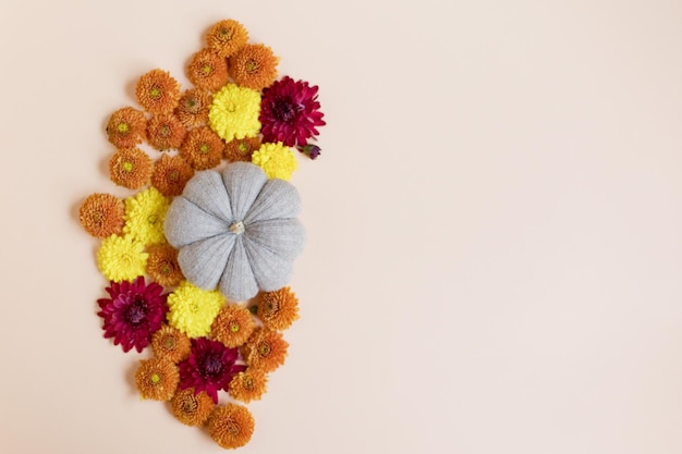 Knit pumpkin and orange chrysanthemums