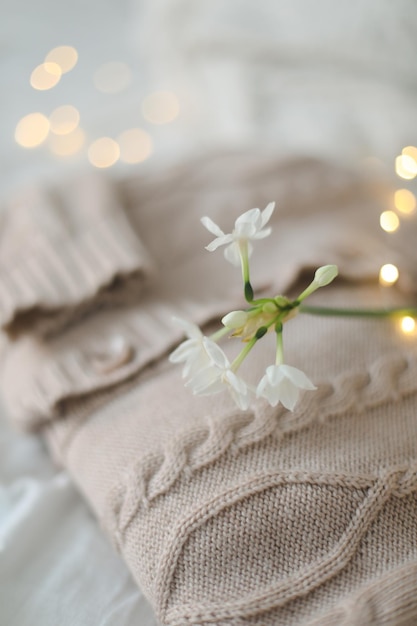 Knitted beige sweater and delicate spring flower Winter and spring fashion concept