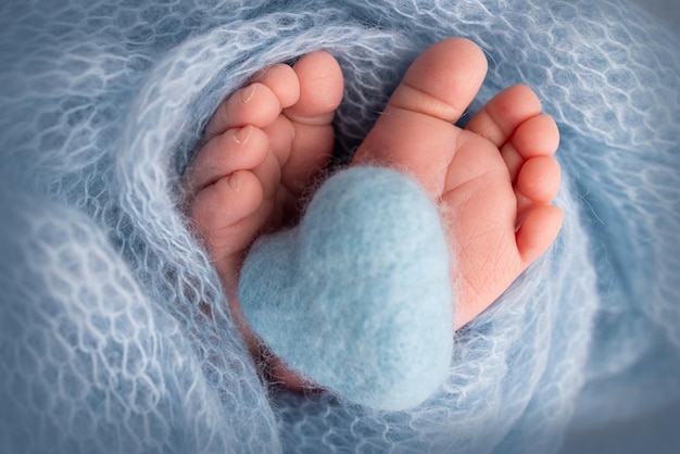 Knitted blue heart in the legs of a baby Soft feet of a new born in a blue wool blanket Closeup of toes heels and feet of a newborn Macro photography the tiny foot of a newborn baby