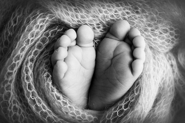 Knitted heart in the legs of a baby Soft feet of a new born in a wool blanket Closeup of toes heels and feet of a newborn Macro black and white photography the tiny foot of a newborn baby