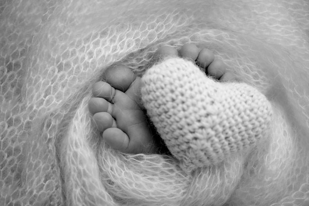 Knitted heart in the legs of a baby Soft feet of a new born in a wool blanket Closeup of toes heels and feet of a newborn Macro black and white photography the tiny foot of a newborn baby