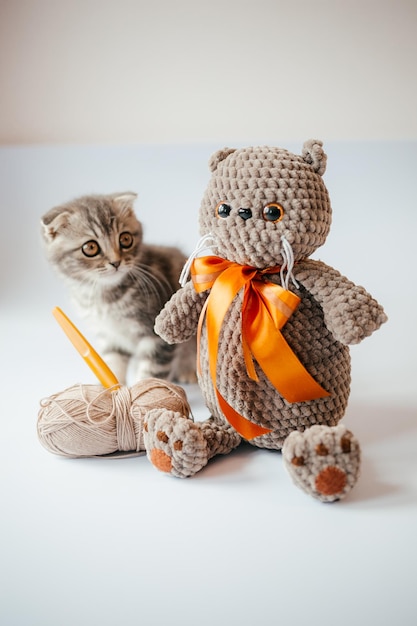 Photo knitted toy in the form of a cat