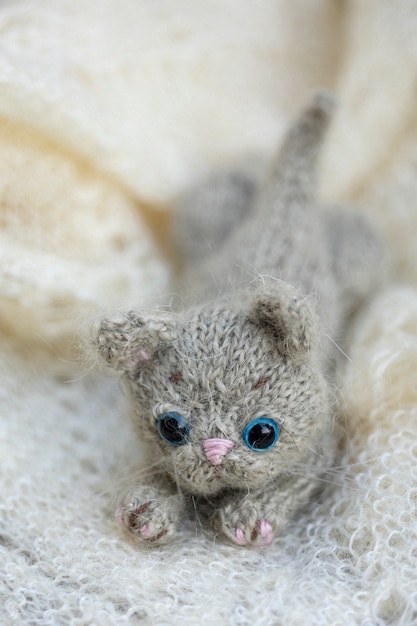 Photo knitted toy kitten, gray kitten in shawls