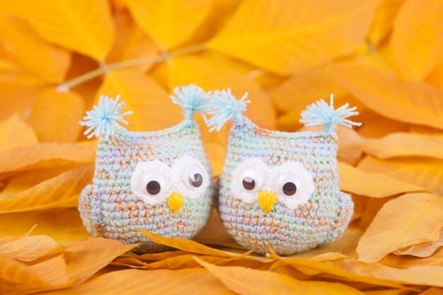 Photo knitted toys  little owls handmade toy autumn composition
