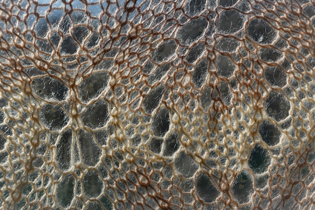 Foto tricottare il colore chiaro di struttura del fondo