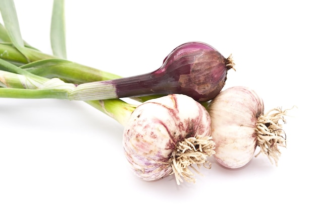 Knoflook en rode ui