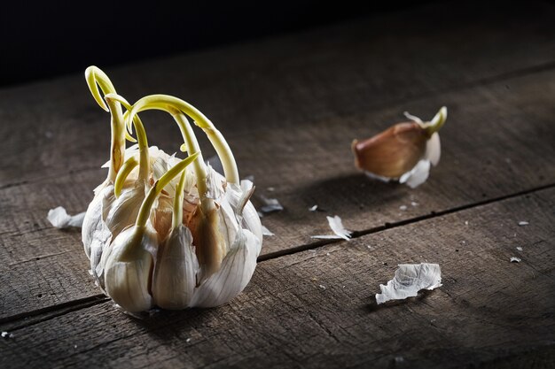 Knoflook ontkiemen op houten tafel