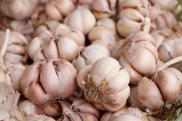 knoflook op de markt