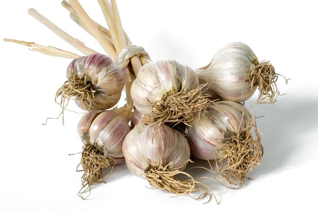 Knoflookbundel geïsoleerd op witte achtergrond