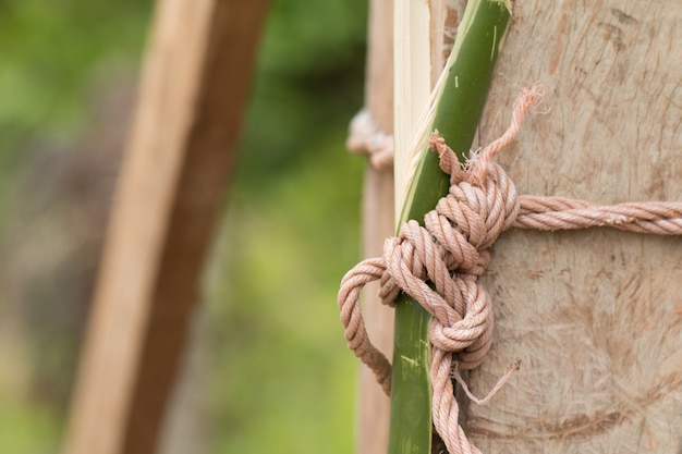 Foto knoopband op hout